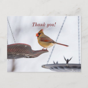 Dankeskarten für Mittagessen mit einem weiblichen  Postkarte