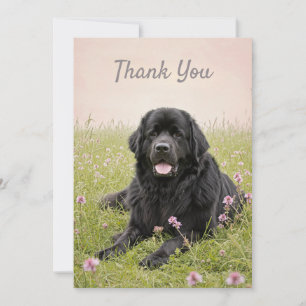 Dankeskarten mit einem Neufundländer Hund Einladung