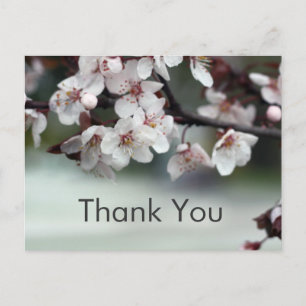 Dankeskarten Pflaumenblüten Postkarte