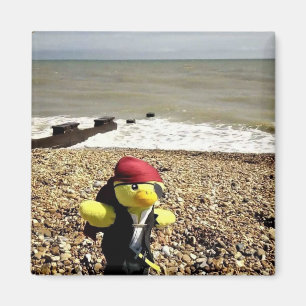 Danny Duck der Pirat Magnet