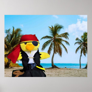 Danny Duck der Pirat. Poster