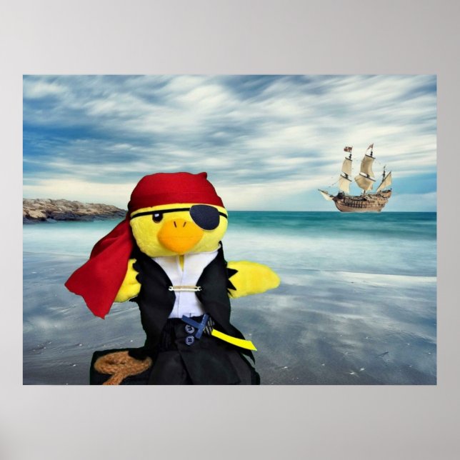 Danny Duck der Pirat. Poster (Vorne)