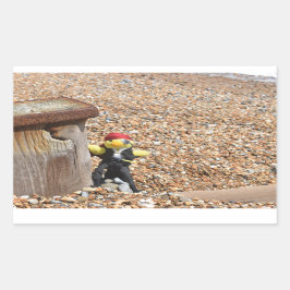 Danny Duck, der rechteckige Aufkleber für Piraten