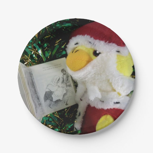 Danny Duck Santa. Pappteller (Vorderseite)