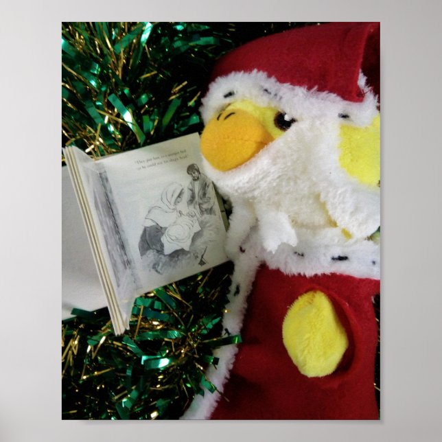Danny Duck Santa Poster (Vorne)