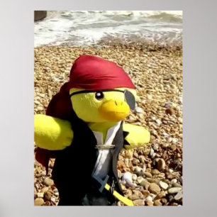 Danny Duck the Pirate Poster