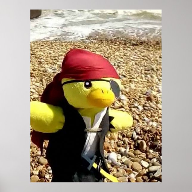 Danny Duck the Pirate Poster (Vorne)