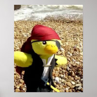 Danny Duck the Pirate