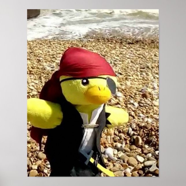 Danny Duck the Pirate Poster (Vorne)