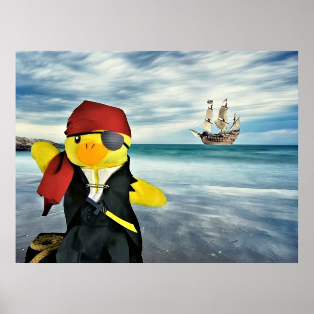Danny Duck the Pirate. Poster (Vorne)