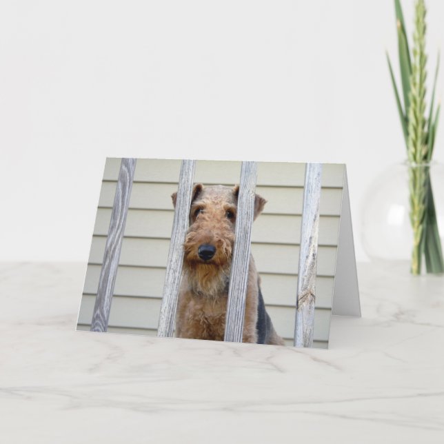 Dans la carte de chenil (Devant)