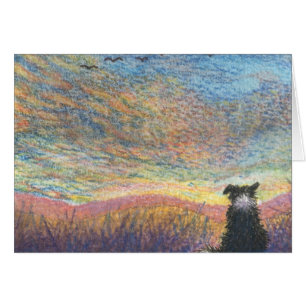 Dans la couleur de la soirée