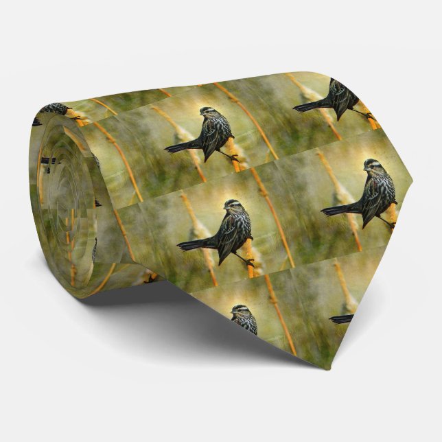 Dans la Cravate masculine de Limelight (Roulé)