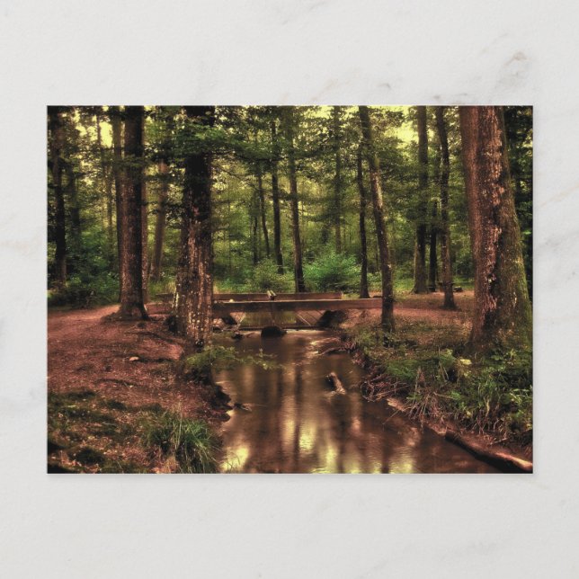 Dans la forêt carte postale (Devant)