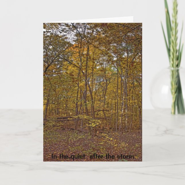 Dans la tranquillité après la carte de sympathie (Devant)