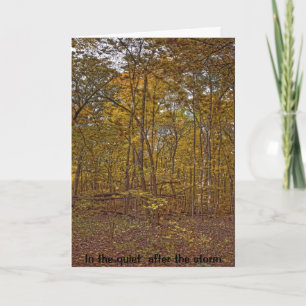 Dans la tranquillité après la carte de sympathie