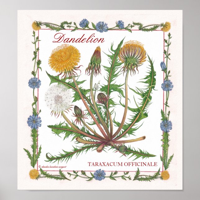 Dans le jardin ~ Poster Dandelion (Devant)