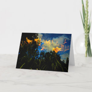 dans les forêts de la carte de nuit