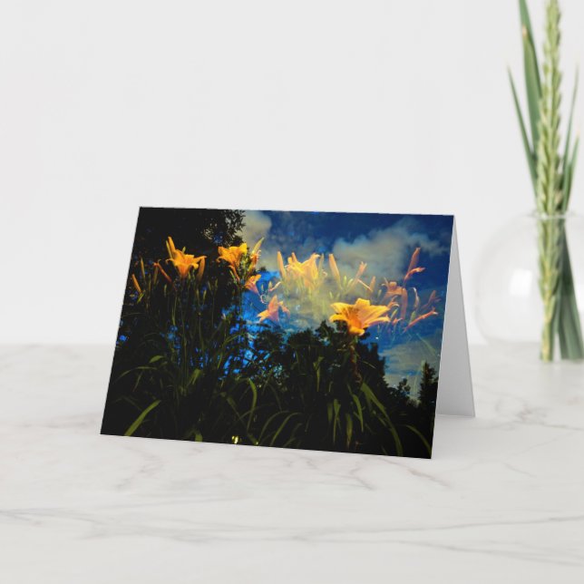 dans les forêts de la carte de nuit (Devant)