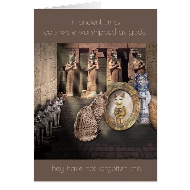 Dans les temps anciens, les chats étaient adorés c (Devant)