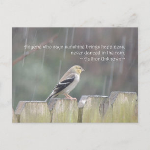 Danse dans la carte postale de la pluie Goldfinch