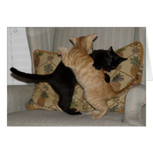 Danse de chat