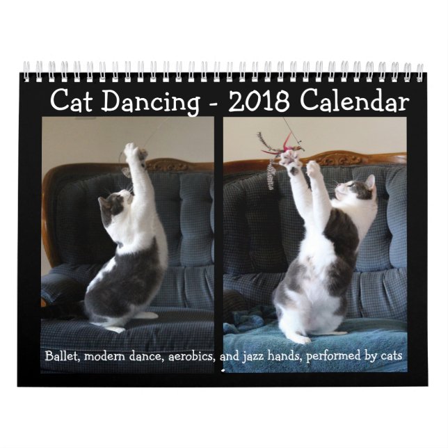 Danse de chat - calendrier 2018 (Protection)