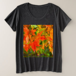 Danse Maple Leaf