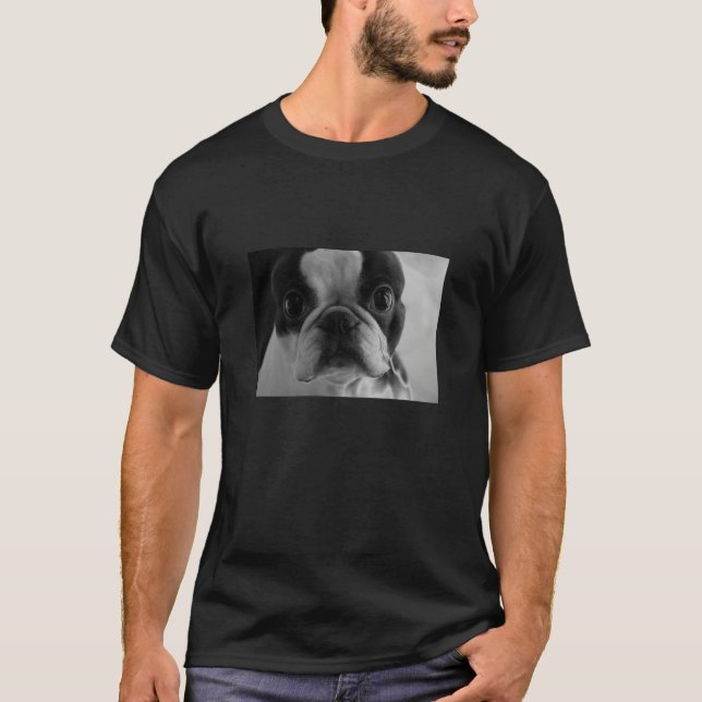 Danson Boston Terrier T-Shirt (Vorderseite)