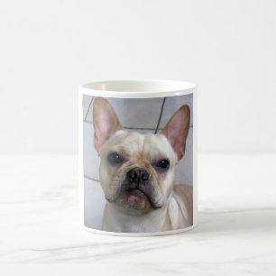 Daphne die Frenchie Tasse