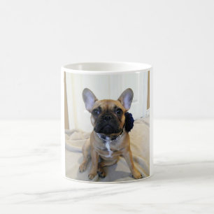Daphne Kaffee-Tasse Kaffeetasse