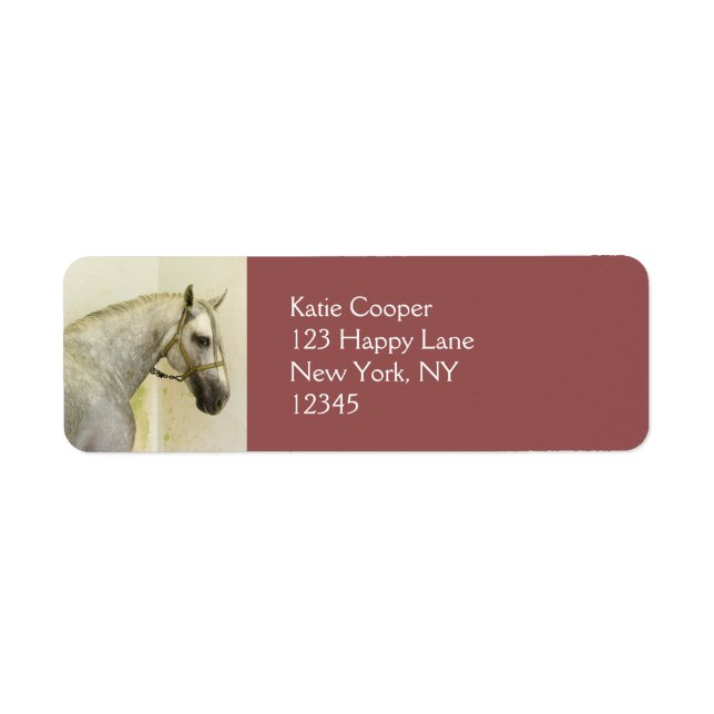 Daple Gray Andalusisches Pferd (Vorne)