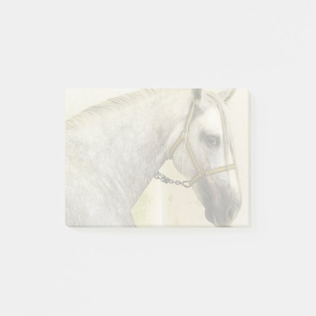 Daple Gray Andalusisches Pferd Post-it Klebezettel (Vorderseite)