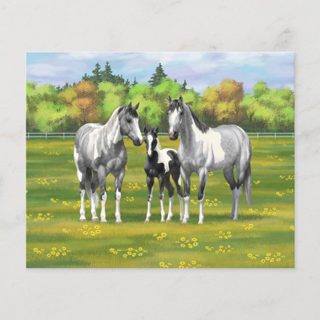 Daple Gray Pinto Paint Horses In Summer Pasta (Vorderseite)