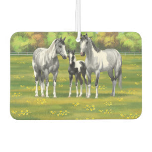 Daple Gray Pinto Paint Horses In Summer Pasta Autolufterfrischer