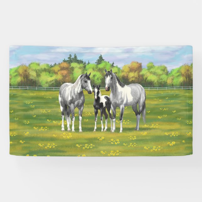Daple Gray Pinto Paint Horses In Summer Pasta Banner (Horizontal)