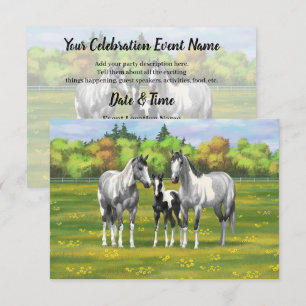 Daple Gray Pinto Paint Horses In Summer Pasta Einladung
