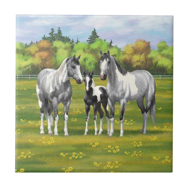 Daple Gray Pinto Paint Horses In Summer Pasta Fliese (Vorderseite)