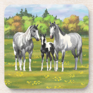 Daple Gray Pinto Paint Horses In Summer Pasta Getränkeuntersetzer