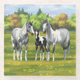 Daple Gray Pinto Paint Horses In Summer Pasta Glasuntersetzer