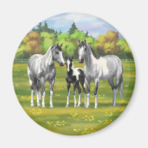 Daple Gray Pinto Paint Horses In Summer Pasta Magnet
