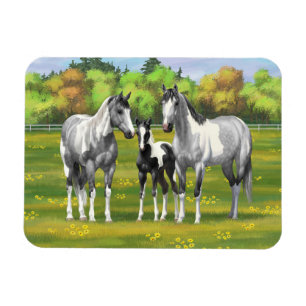 Daple Gray Pinto Paint Horses In Summer Pasta Magnet
