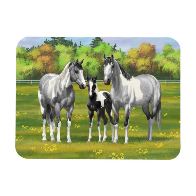 Daple Gray Pinto Paint Horses In Summer Pasta Magnet (Horizontal)