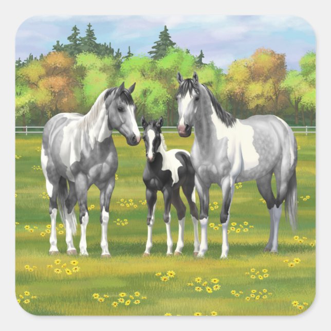 Daple Gray Pinto Paint Horses In Summer Pasta Quadratischer Aufkleber (Vorderseite)