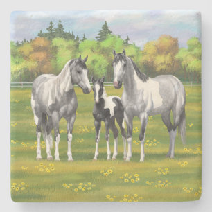 Daple Gray Pinto Paint Horses In Summer Pasta Steinuntersetzer