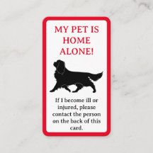 Mon animal de compagnie, Chien est la carte indivi
