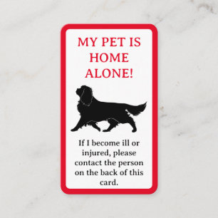 D'appel Mon animal de compagnie, Chien est la carte indivi