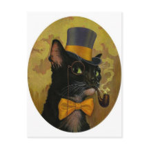 Dapper Cat