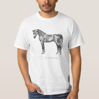 Dapple Gray Ägyptisches Arabianisches Pferd