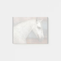 Dapple Gray Ein perfektes Wochenende in Andalusien